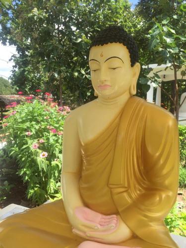 Peacock Resort – Anuradhapura, IA