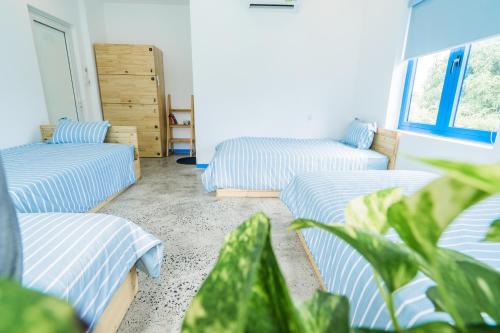 SANTORI Hoi An Homestay, Hoi An (zdjęcie 10)