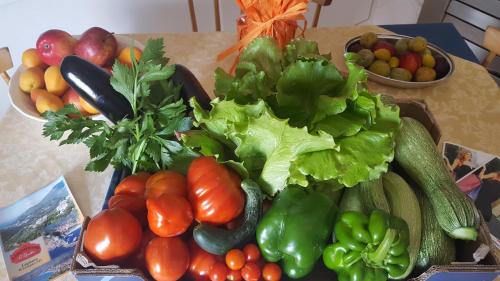 Agriturismo I Pipetta