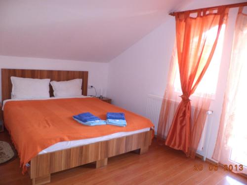 Pensiunea Bella - image 4