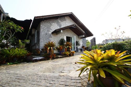 绿色小屋民宿 绿色小屋民宿