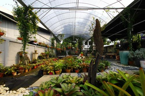 绿色小屋民宿 绿色小屋民宿