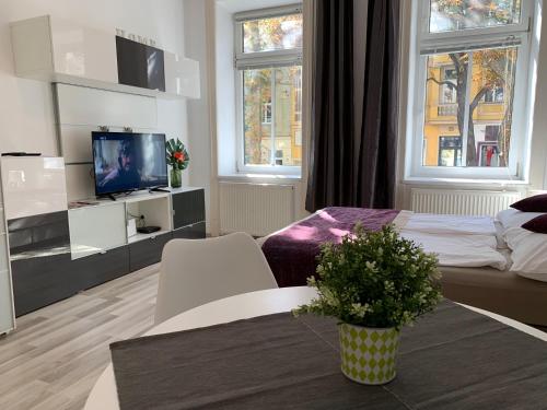 Schönbrunn Apartment