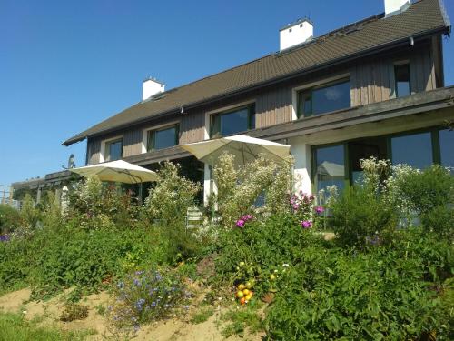 Chamedafne w Puszczy Kampinoskiej - Accommodation - Brochów