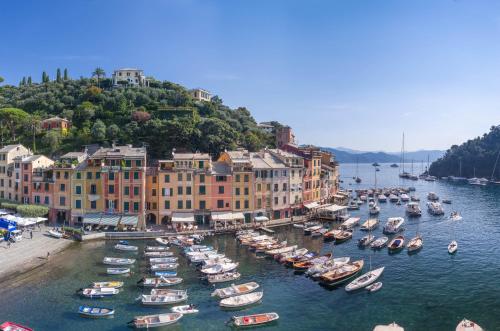 Brand New Apt in the Heart of Portofino