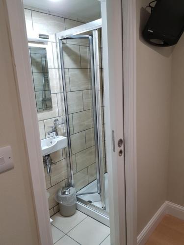 Central Hotel - image 4