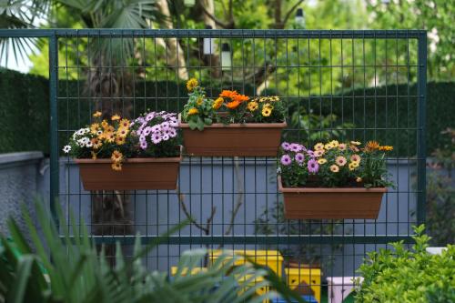  Terrace Suites Otel in Sakarya