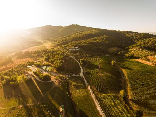 Agriturismo Fattoria La Palagina