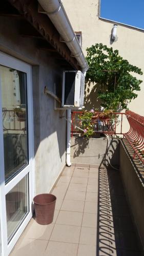 Double Room with Balcony and Sea View image 9