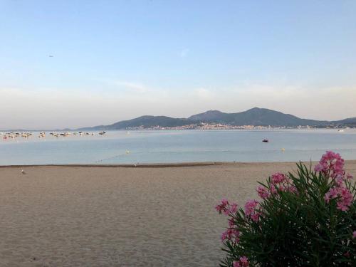 T2 climatise a Porticcio, 100m de la plage
