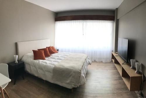 Bariloche View Apartment in 산 카를로스 데 바릴로체