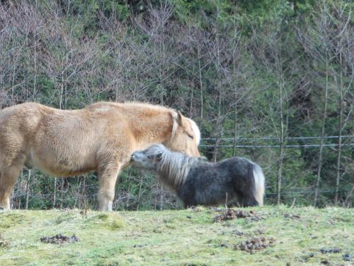 L'Atelier de Gisèle - image 12