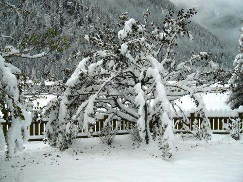 Haus Cornelia - image 2