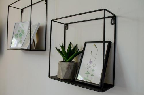 Oleander Rooms & Apartment, Sofia (Foto 3)