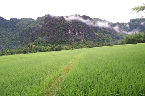 Letana Guesthouse in Koun Kham