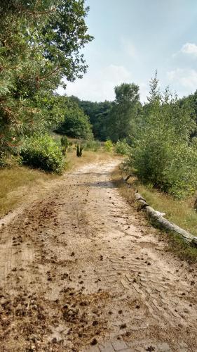 Kert, Het krekeltje in Buurtschap Beerze