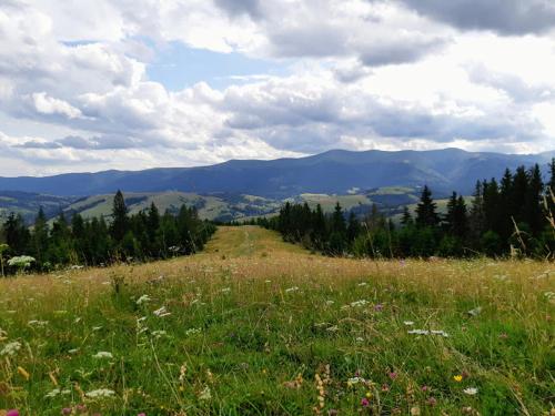 Gostynna Rodyna - image 9
