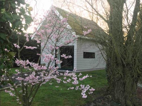 ENTRE TERRE ET MER gîte à louer Andres