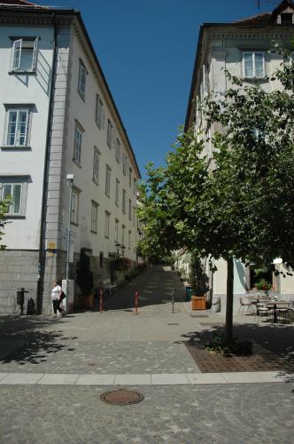 Vitez Apartment II, Lublaň (fotografie 9)