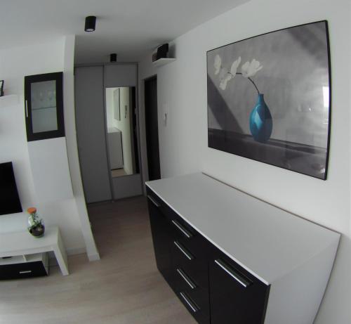 Apartament Miedzianka