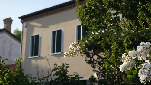 Antico Alveo