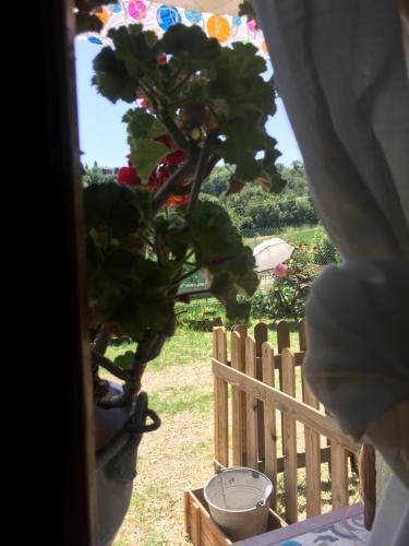 B&b Oca Carolina – Buttigliera Alta, NY