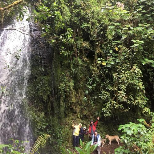 Cabaña de montaña La Magnolia, Cerro de la Muerte De La Cañuela Cloud Forest