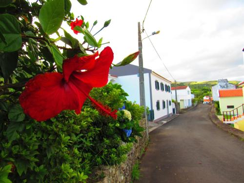  Casa L&M in Lajes das Flores