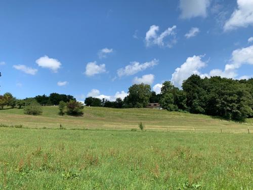 Zimmer mit Bergblick in Starnberg