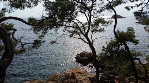 Studio Les Jardins de la Mer