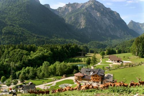 Hotel Stroblerhof - image 11