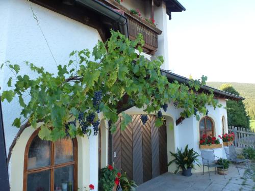 Garden, Ferienwohnungen Anneliese&Fritz Wagerer in Rimbach