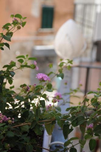 B&B Vin e Va – Bari, LA