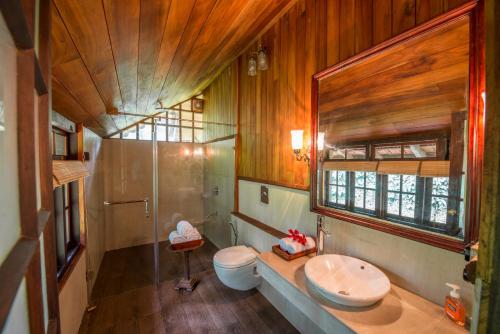 Pepper Trail, Sultan Bathery (zdjęcie 2)