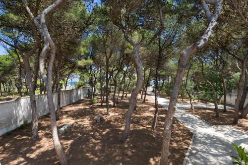 Masseria Villa - image 7