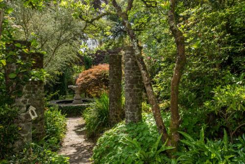 Owlscombe - image 5