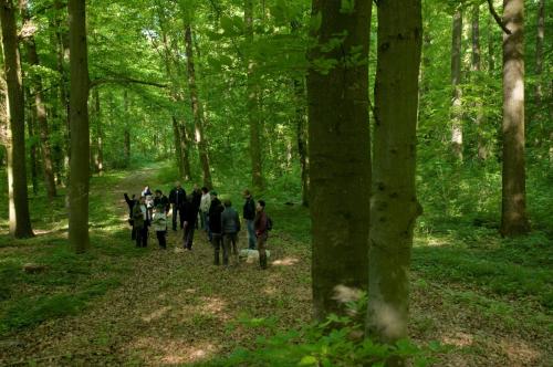 Apkārtne, Gutshaus von Bismarck in Heldrungen