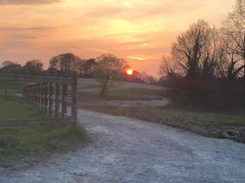  Nature Heaven 15 minutes from Brussels Centre in Linkebeek