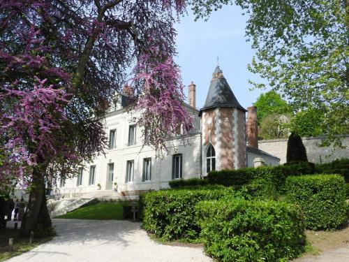 Château des Basses Roches - Chambre d'hôtes - La Chaussée-Saint-Victor