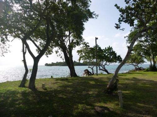 The Point, Orange Bay (zdjęcie 10)