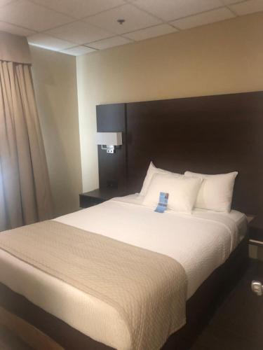 One-Bedroom Queen Efficiency Suite - Non-Smoking - Not Pet Friendly