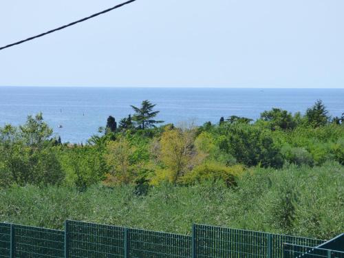 HEDRA, Zambratija (foto 7)