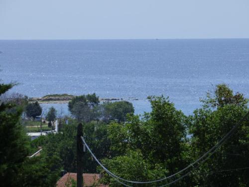 HEDRA, Zambratija (foto 6)