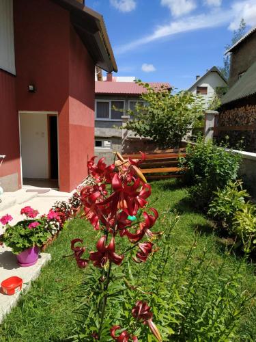 Apartments Bozovic - image 8