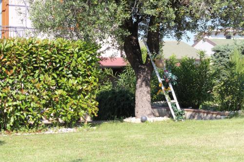 Bed & Breakfast Mafi