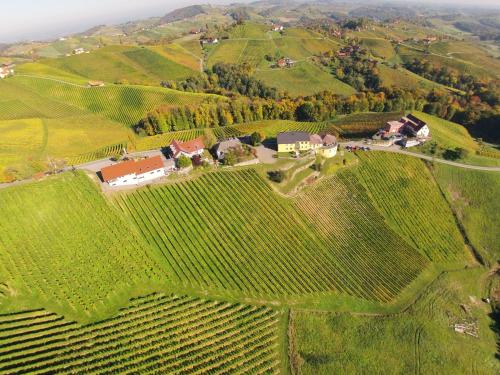 Familienweingut Oberer Germuth - image 3