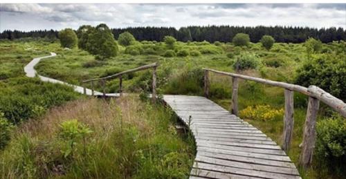 Les amoureux du vrai chambre d'hôte Mont