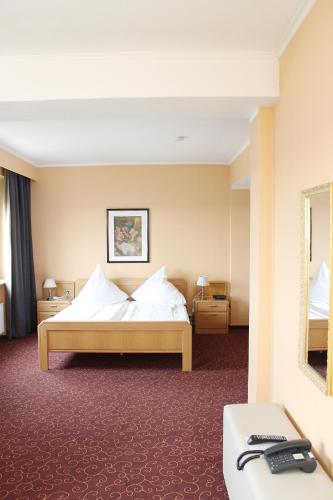 Wiking Hotel - main image