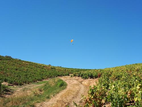 Le Mont Brouilly