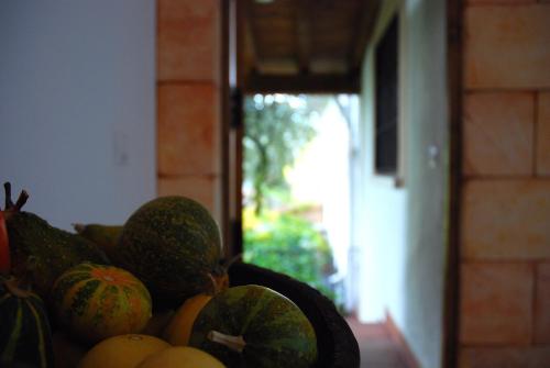 Hostal El Cardenillo - image 4